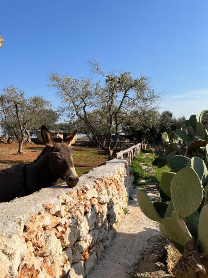 Trulli dell'Angelo Villa Specchiolla Eksteriør bilde